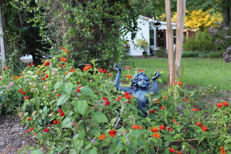 Meadow View Farm Bed & Breakfast 에르난도 외부 사진